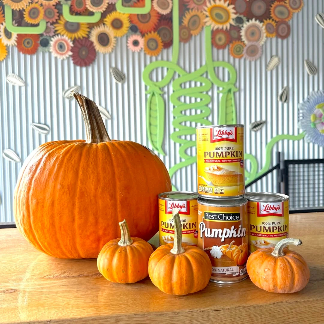 Whole and canned pumpkin.